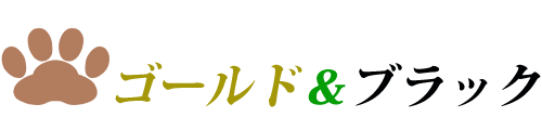 ゴールド＆ブラック